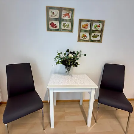 Giardino Airport With Garden Apartman